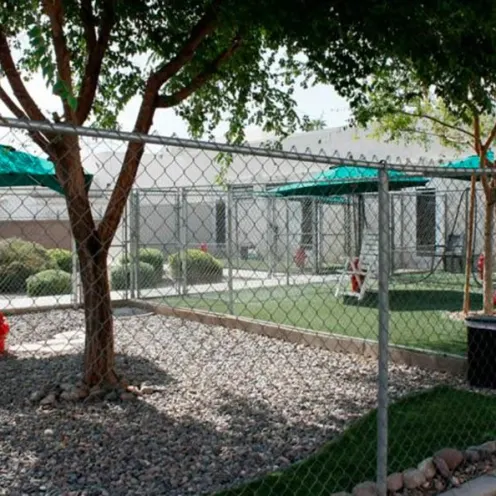 Sun City Animal Hospital Dog Play Area